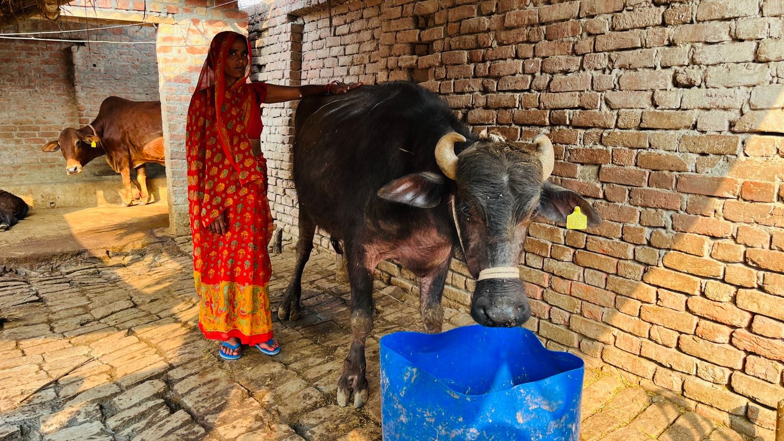 फोटो 20: डेयरी में मशीनों पर काम करतीं रश्मि यादव। संवाद