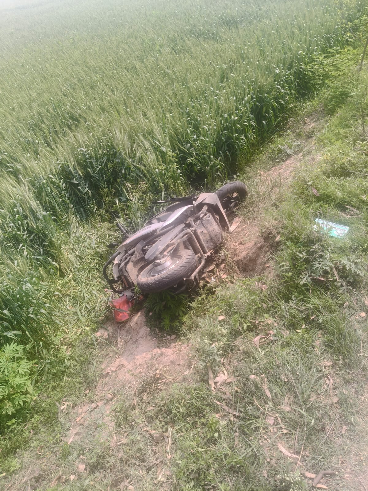 लाडवा। मामचंद। फाइल फोटो लाडवा। मामचंद। फाइल फोटो