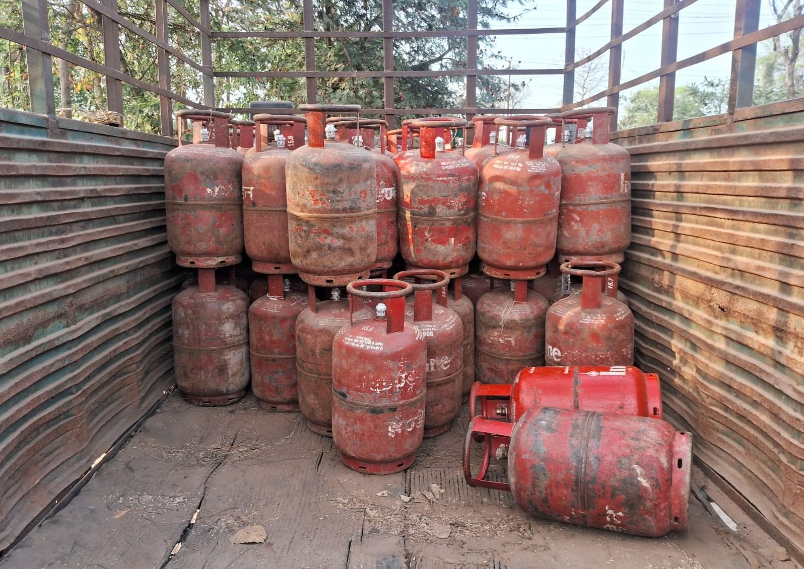 मौली शर्मा