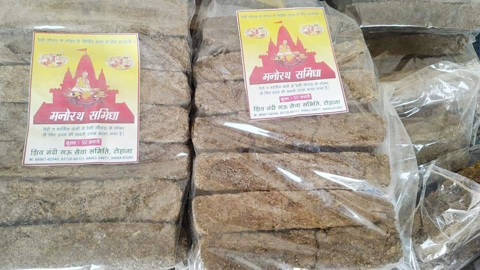 शिव नंदीशाला में गाय।