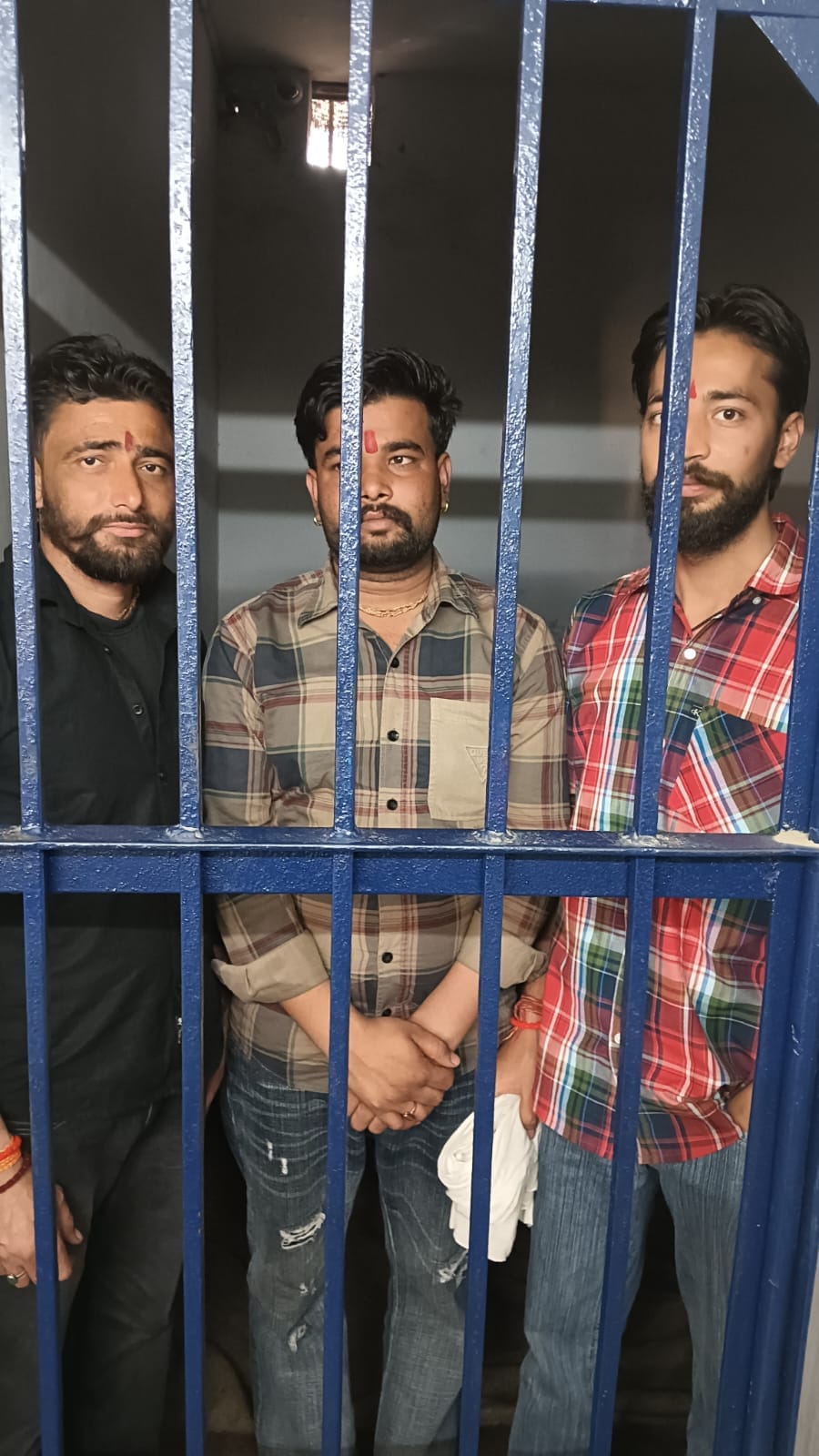 ठाकुर पूरण सिंह, किसान नेता ठाकुर पूरण सिंह, किसान नेता