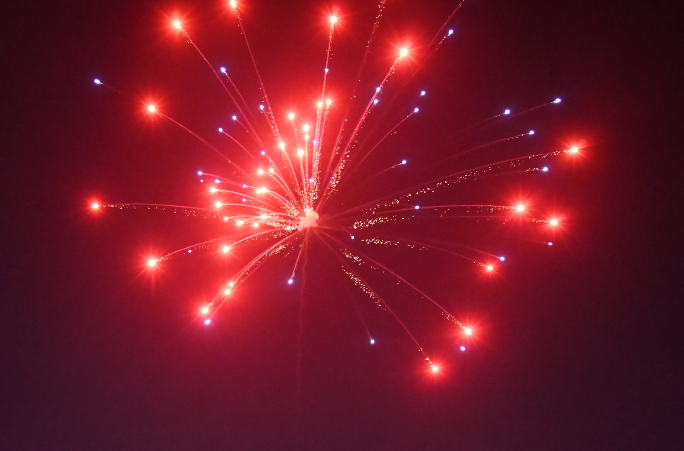 भारत की जीत पर जश्न। भारत की जीत पर जश्न।