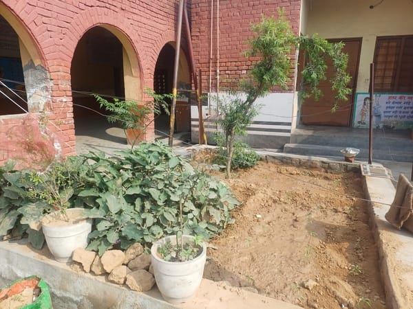 अंबाला छावनी के सीनियर सेकेंड़री संस्कृति स्कूल का कीचन गार्डन। संवाद