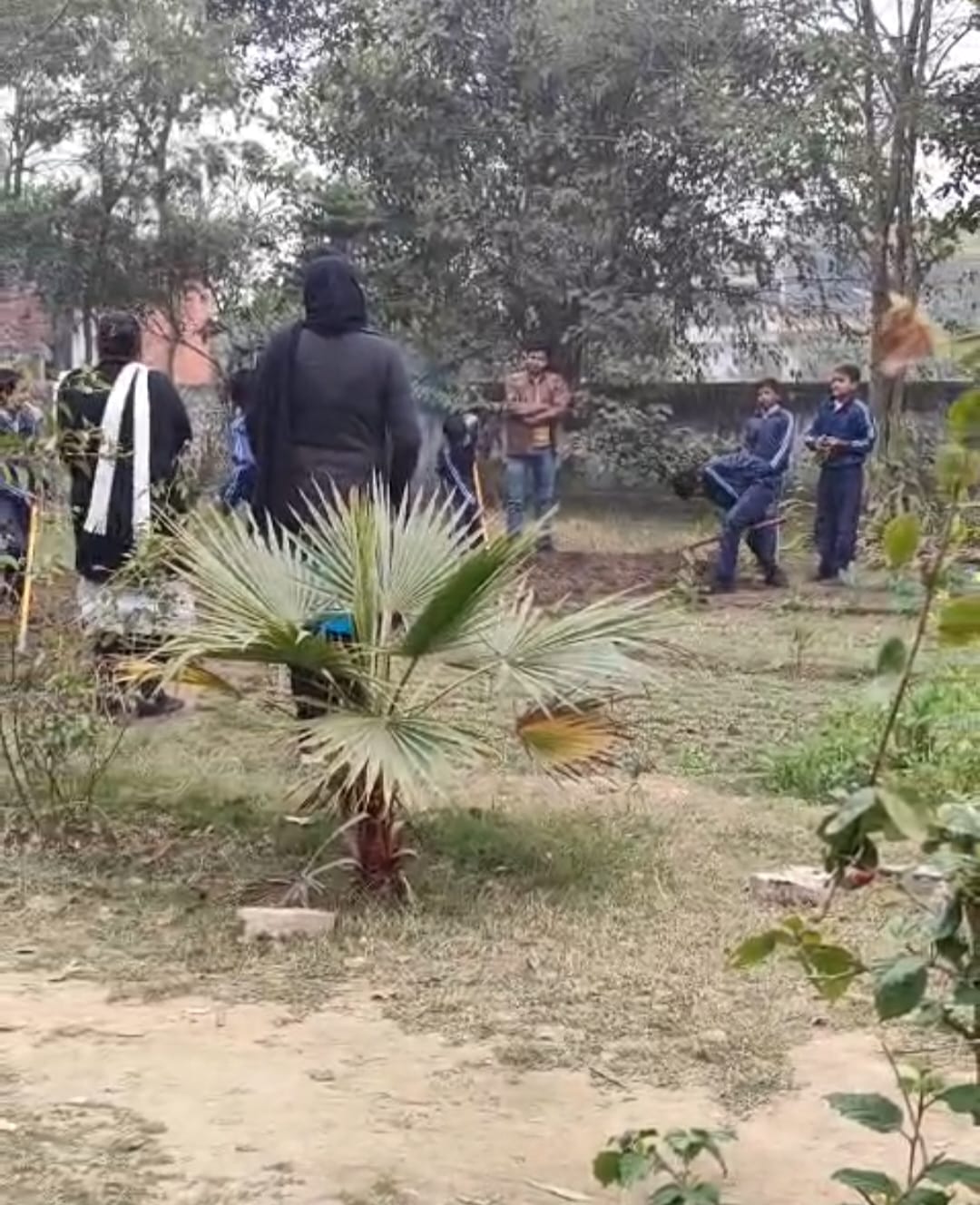 अंबाला छावनी के सीनियर सेकेंड़री संस्कृति स्कूल का कीचन गार्डन। संवाद