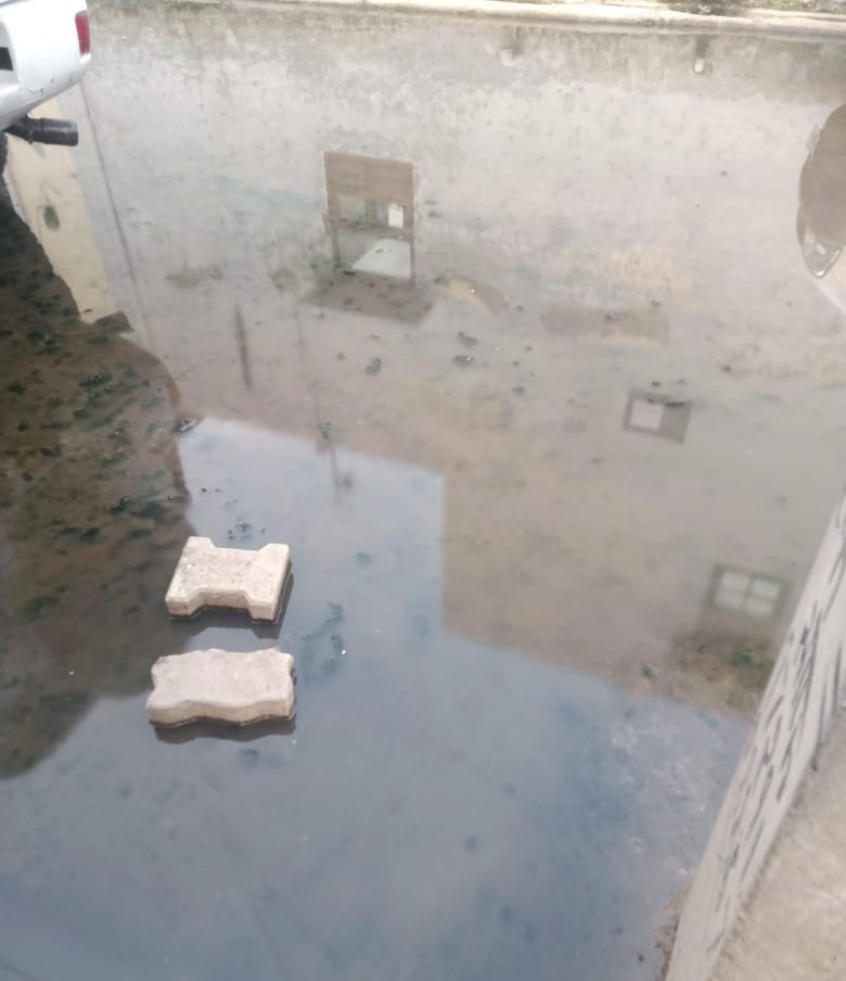 बैंक कालोनी में सड़क पर जमा नाले का पानी। संवाद बैंक कालोनी में सड़क पर जमा नाले का पानी। संवाद