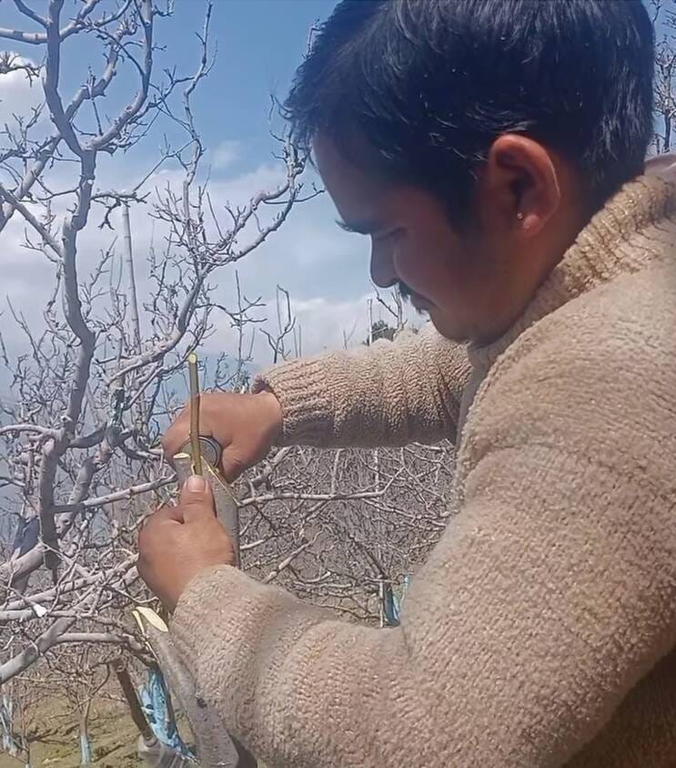 उपायुक्त कार्यालय के बाहर सड़क में लगा लैैटर बॉॅक्स, इसमें जंग चुका है। संवाद
