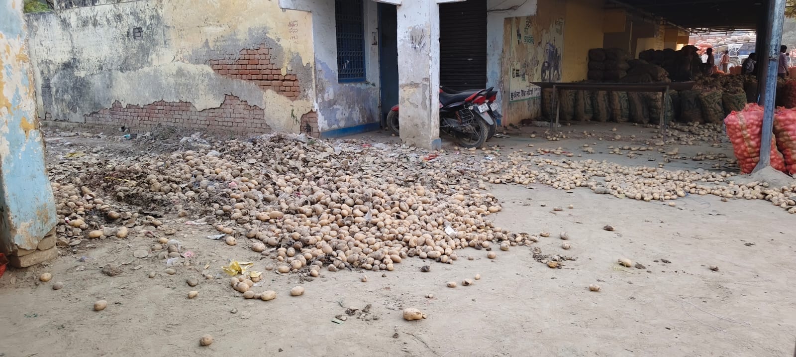 फोटो-25 सातनपुर मंडी में दूसरे दिन भी आलू न बिकने से खड़ी ट्रालियां। संवाद