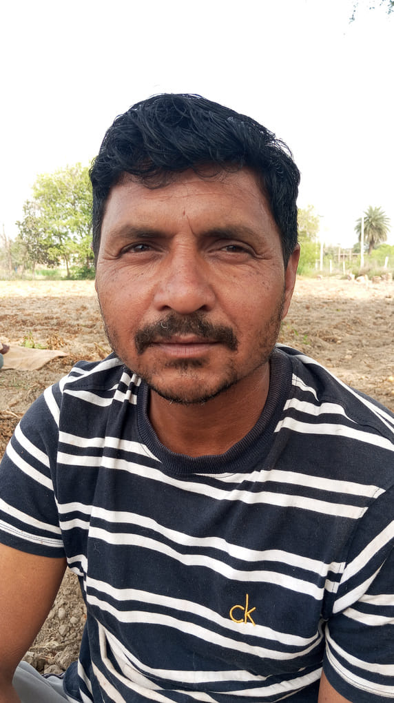 फोटो 26 खेत में खुदाई के बाद रखा आलू। संवाद