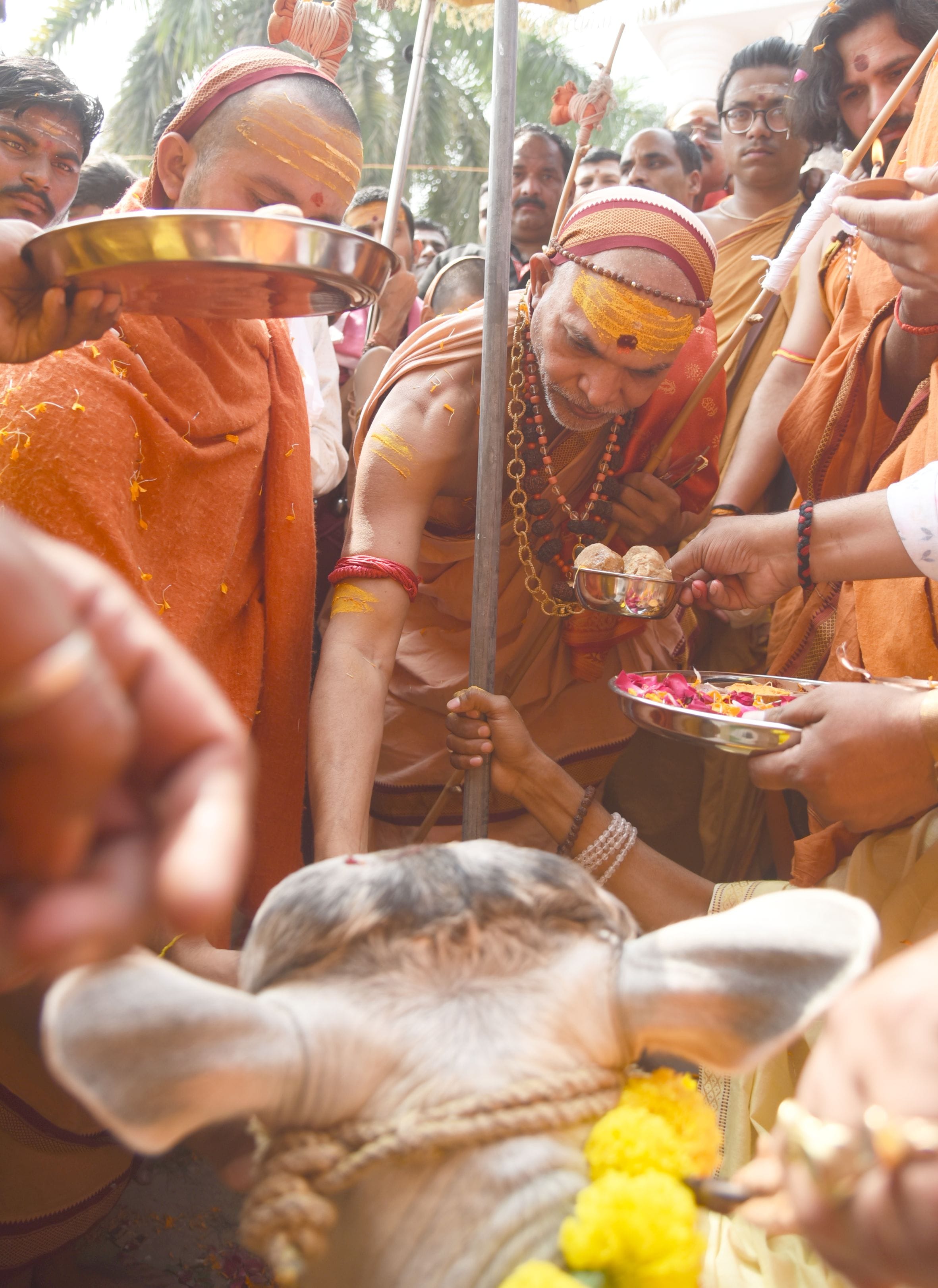 राजधानी के कांशीराम स्मृति सांस्कृतिक स्थल में हुआ कार्यक्रम। राजधानी के कांशीराम स्मृति सांस्कृतिक स्थल में हुआ कार्यक्रम।