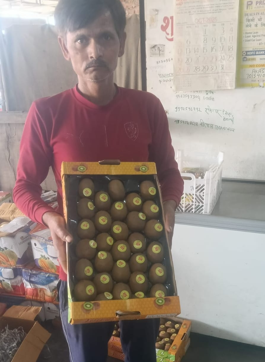 फोटो-51: बहादुरगढ़ के सेक्टर छह स्थित दुकान पर रखा कीवी फल। संवाद