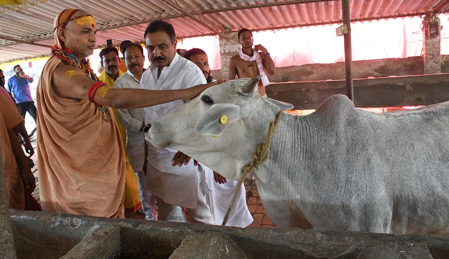 राजधानी में बृहस्पतिवार को शंकराचार्य स्वामी अविमुक्तेश्वरानंद सरस्वती ।