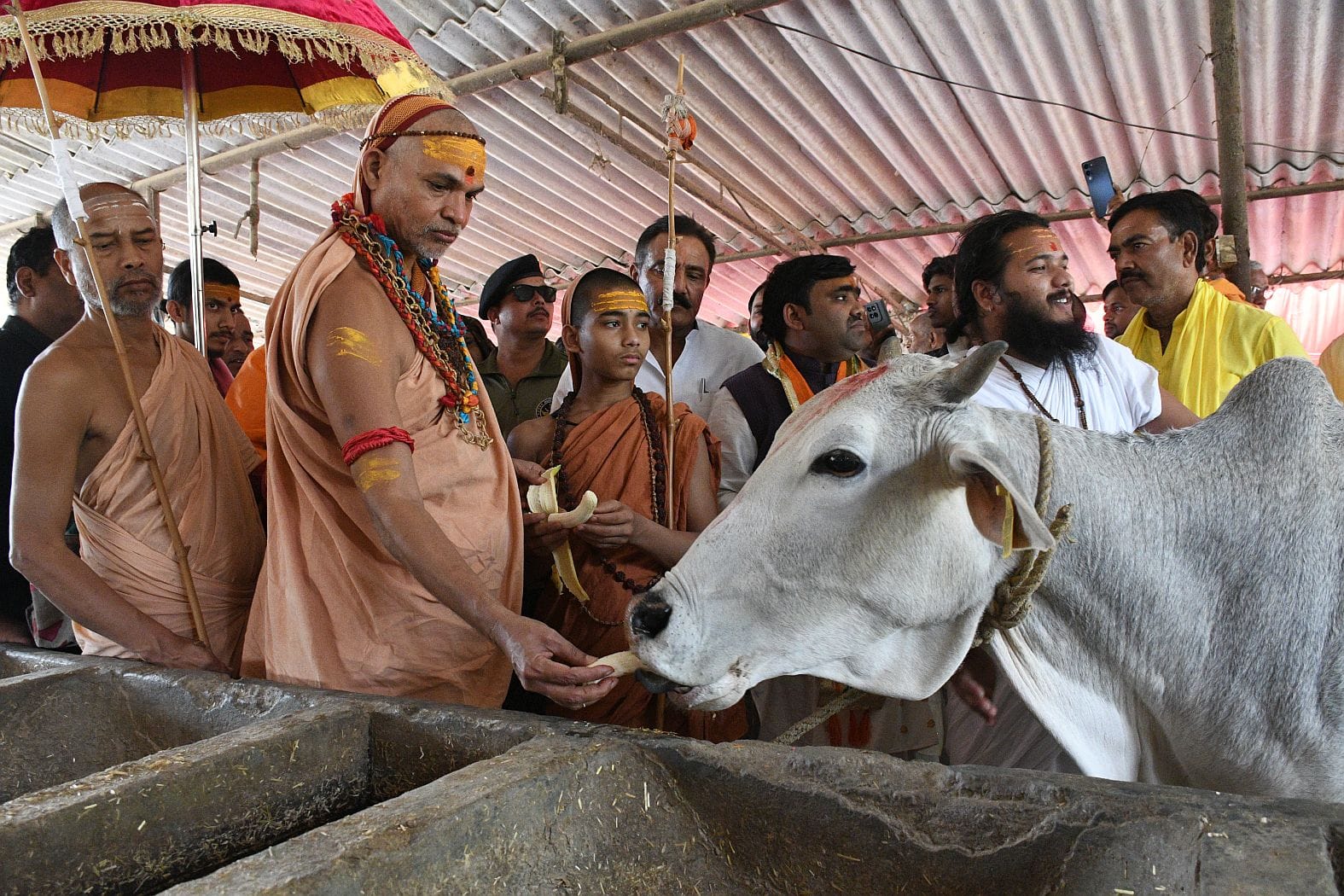 राजधानी में बृहस्पतिवार को शंकराचार्य स्वामी अविमुक्तेश्वरानंद सरस्वती ।