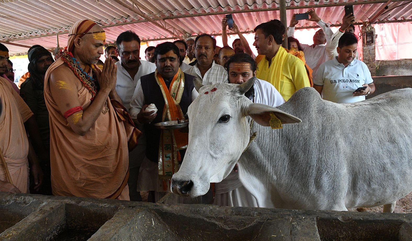 राजधानी में बृहस्पतिवार को शंकराचार्य स्वामी अविमुक्तेश्वरानंद सरस्वती ।