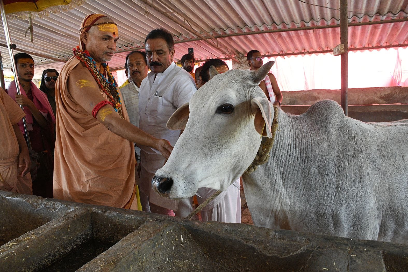 राजधानी में बृहस्पतिवार को शंकराचार्य स्वामी अविमुक्तेश्वरानंद सरस्वती ।