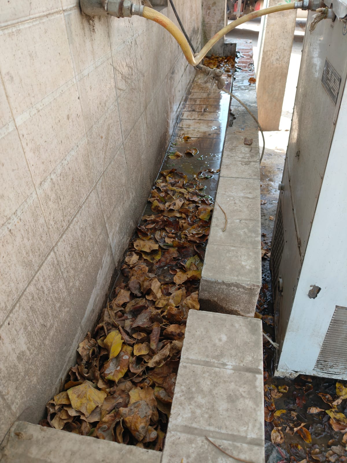 अनाज मंडी में वाटर कूलर के उपर पड़ी शराब की बोतल। संवाद अनाज मंडी में वाटर कूलर के उपर पड़ी शराब की बोतल। संवाद