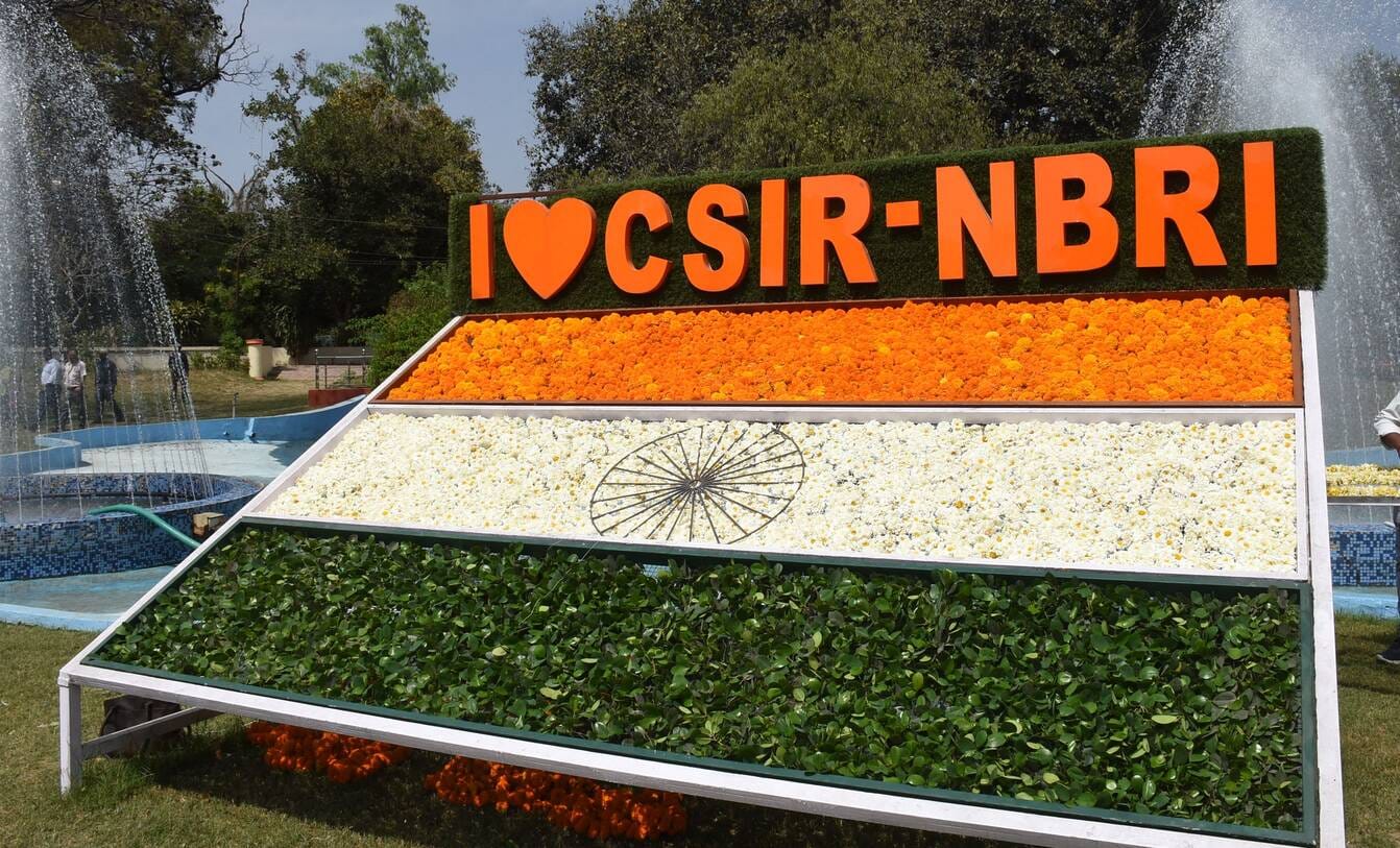 एनबीआरआई में शनिवार को शुरू हुआ दो दिवसीय बोगनविलिया उत्सव। एनबीआरआई में शनिवार को शुरू हुआ दो दिवसीय बोगनविलिया उत्सव।