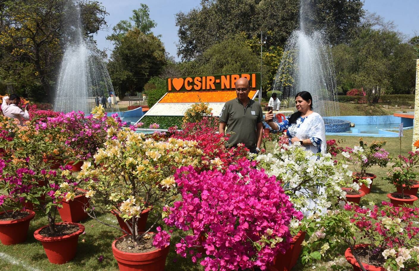 एनबीआरआई में शनिवार को शुरू हुआ दो दिवसीय बोगनविलिया उत्सव। एनबीआरआई में शनिवार को शुरू हुआ दो दिवसीय बोगनविलिया उत्सव।