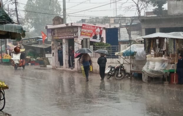माछरा। तेज हवा में टूट कर गिरा आम का बोर