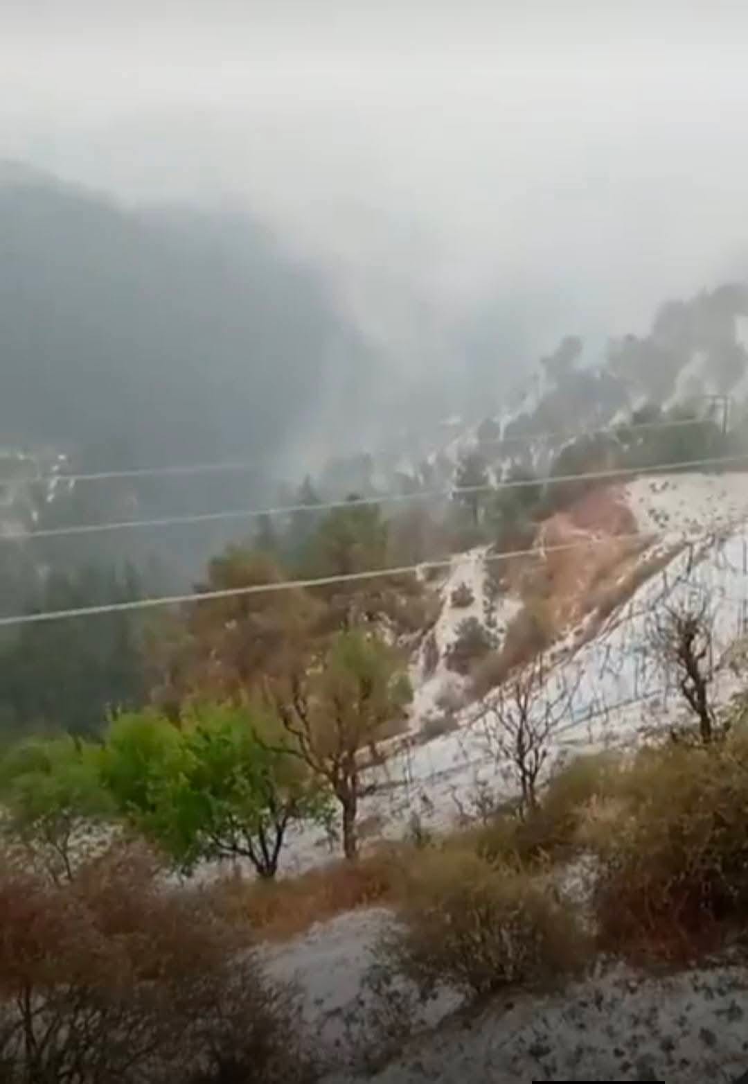 राजगढ़ में ओलावृष्टि से हुआ फसलों को नुकसान। संवाद राजगढ़ में ओलावृष्टि से हुआ फसलों को नुकसान। संवाद