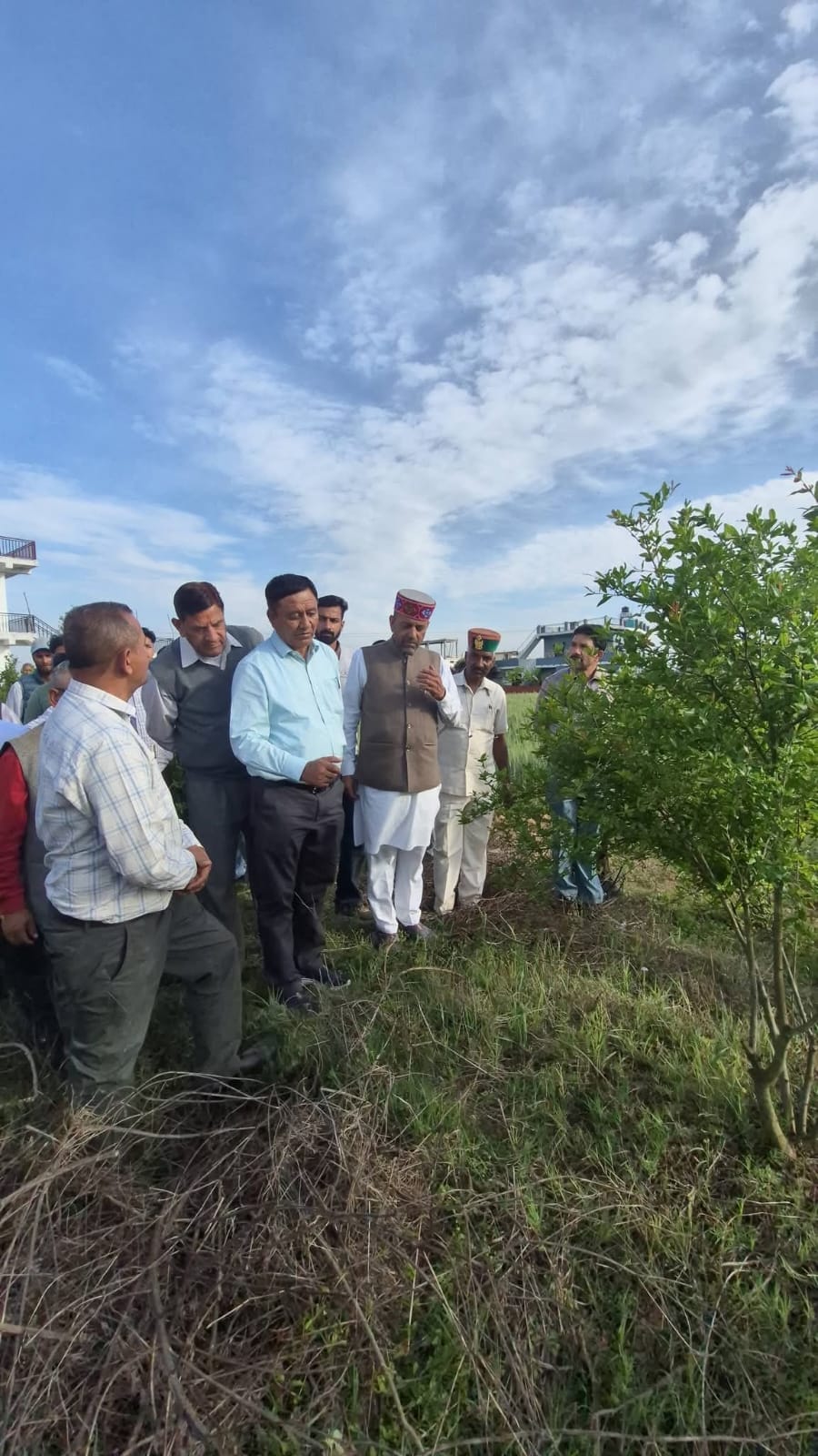 राजस्व,बागवानी एवं जनजातीय विकास मंत्री जगत सिंह नेगी बड़सर में सेरी व झटूंडा क्लस्टर का निरीक राजस्व,बागवानी एवं जनजातीय विकास मंत्री जगत सिंह नेगी बड़सर में सेरी व झटूंडा क्लस्टर का निरीक