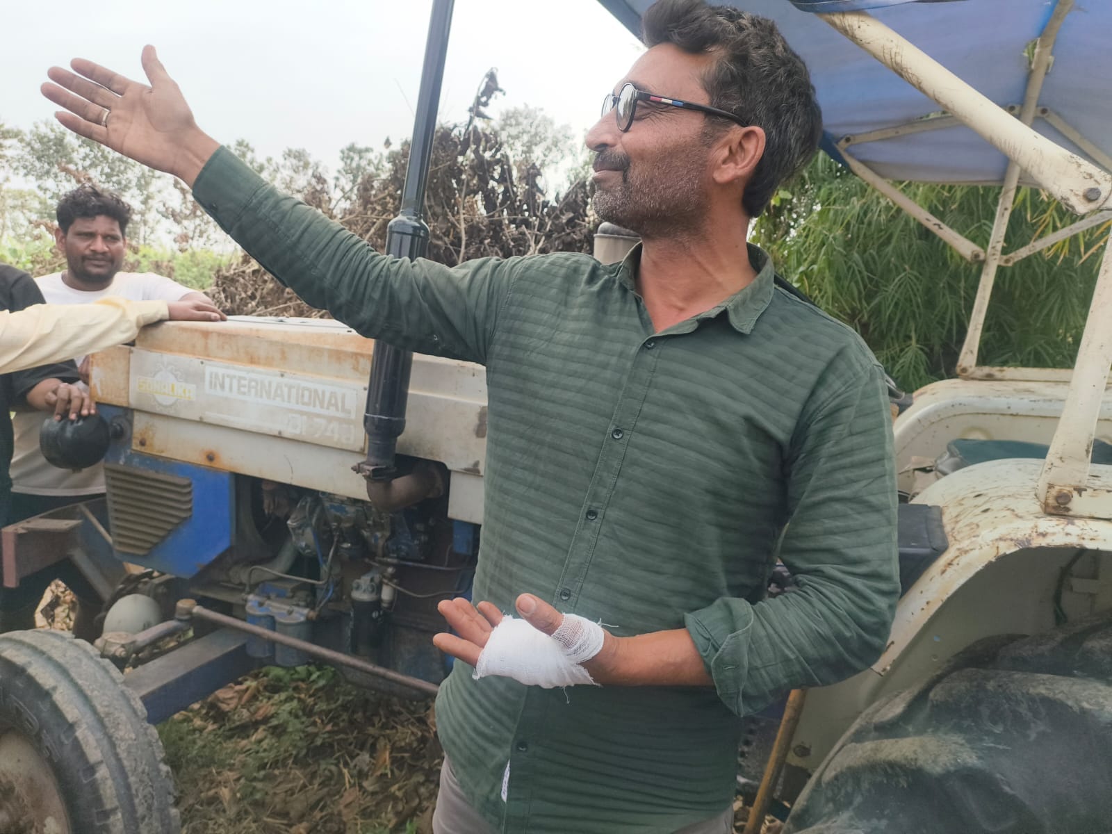 शेरपुर गांव में भारतीय गिद्धों का झुंड। संवाद शेरपुर गांव में भारतीय गिद्धों का झुंड। संवाद