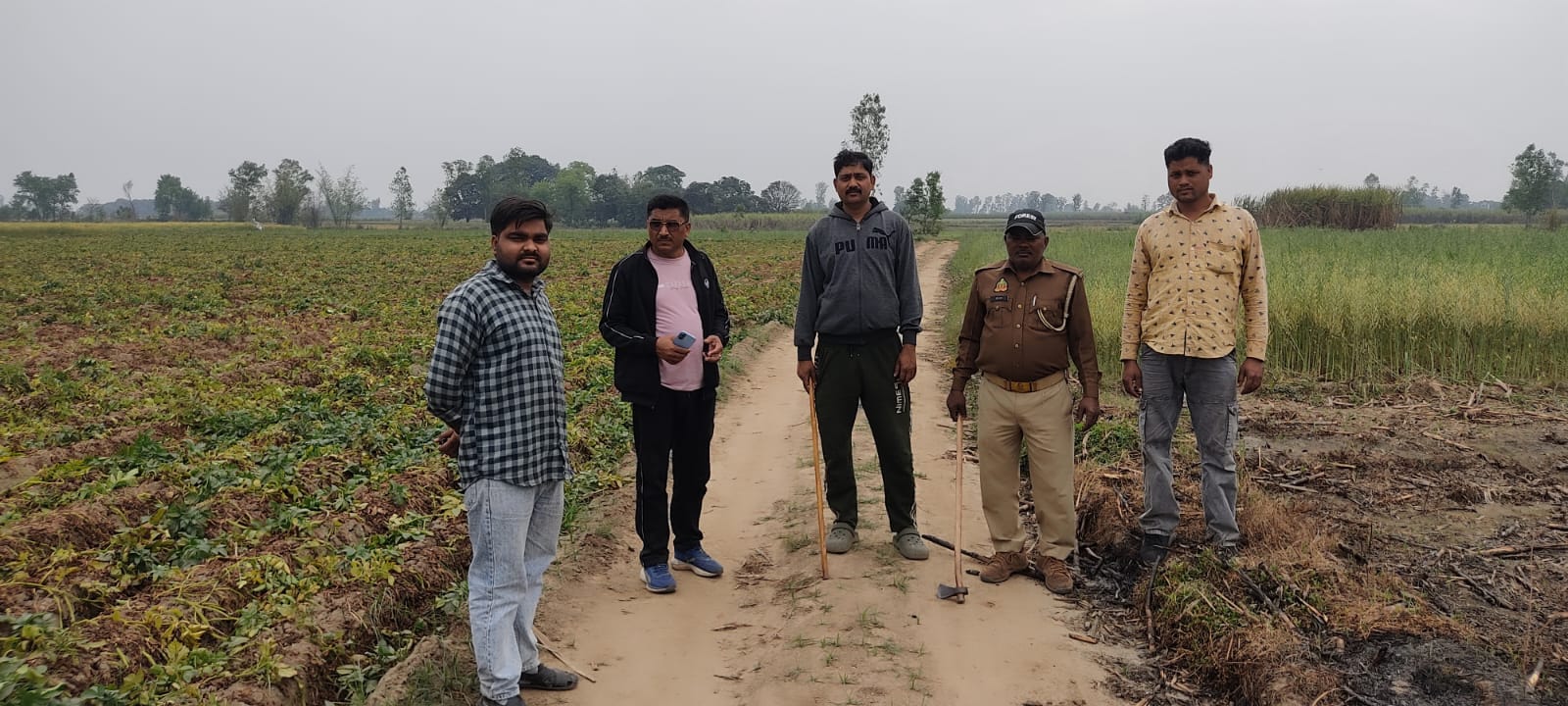 शेरपुर गांव में भारतीय गिद्धों का झुंड। संवाद शेरपुर गांव में भारतीय गिद्धों का झुंड। संवाद