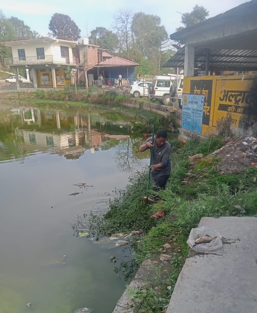 ताल के तालाब में चूना डालने के साथ साफ-सफाई कार्य कर जारी। स्रोत : विभाग