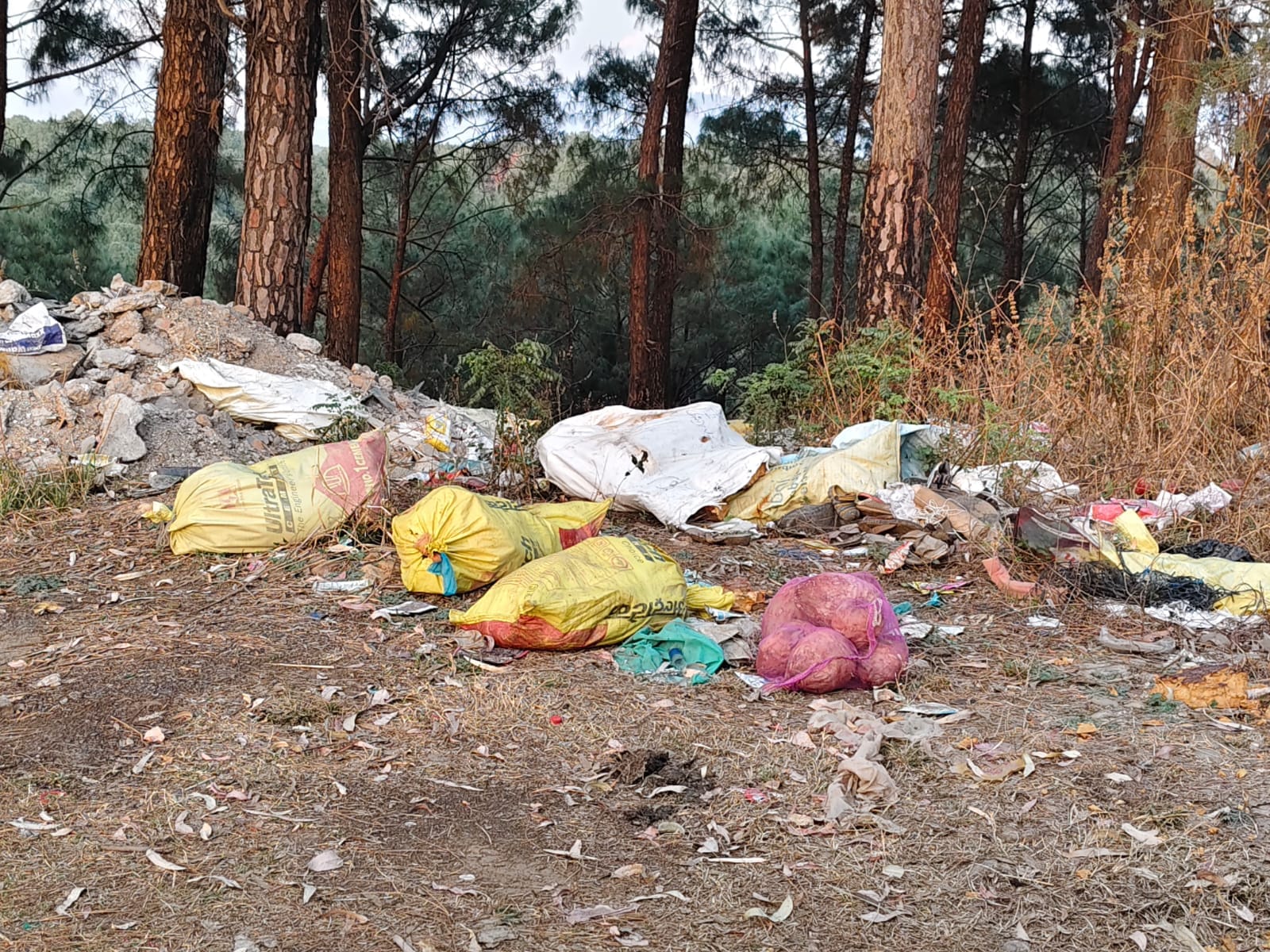 विद्यासागर शर्मा