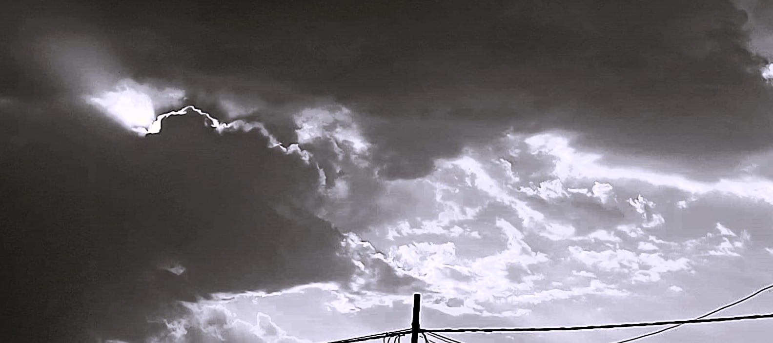 बारिश के बाद खेत में बिछी फसलें। संवाद