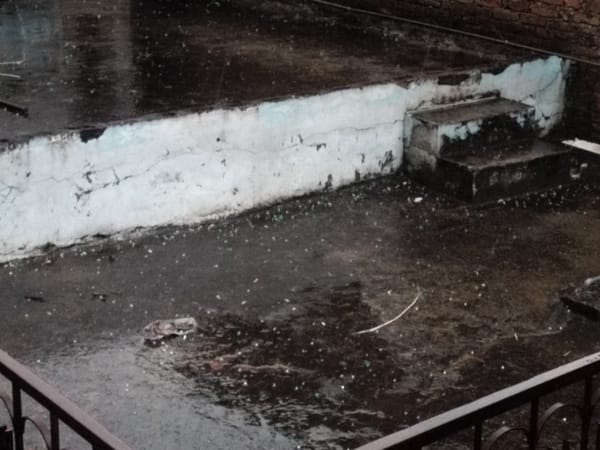 चकसराय में बारिश के बाद खेतों में नजर आई हरियाली।संवाद