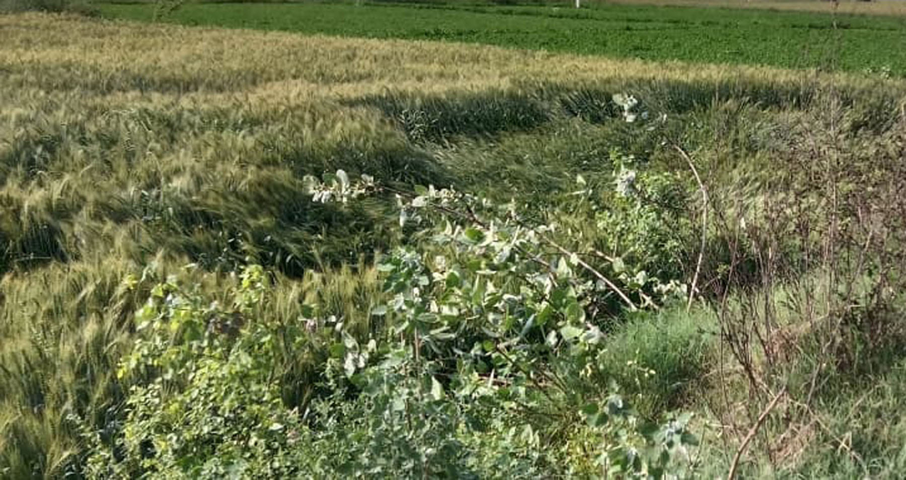 करनाल रोड़ से बारिश से निकलते वाहन संवाद करनाल रोड़ से बारिश से निकलते वाहन संवाद