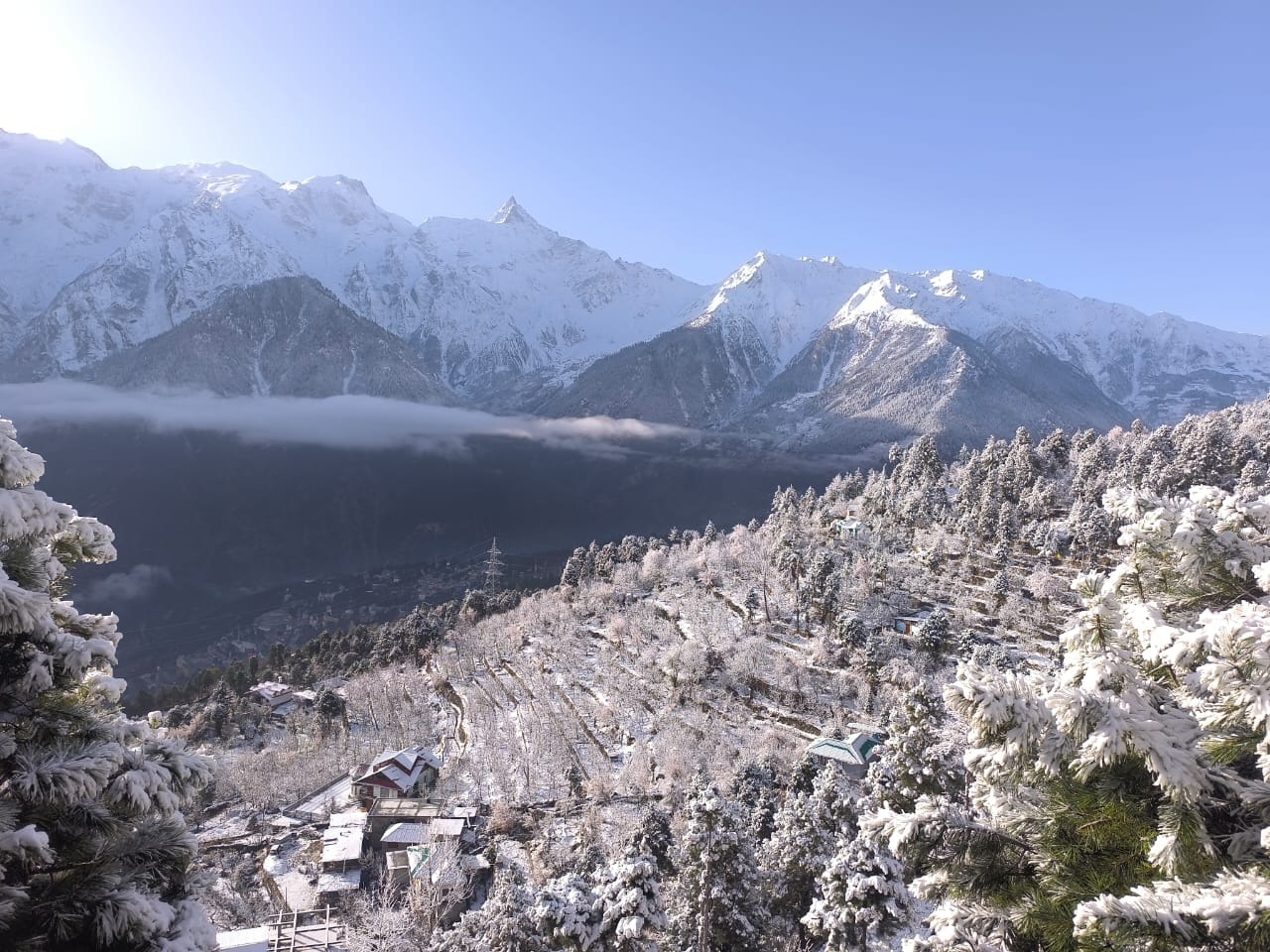 रामपुर के सरपारा में हुई ताजा बर्फबारी का एक नजारा। संवाद