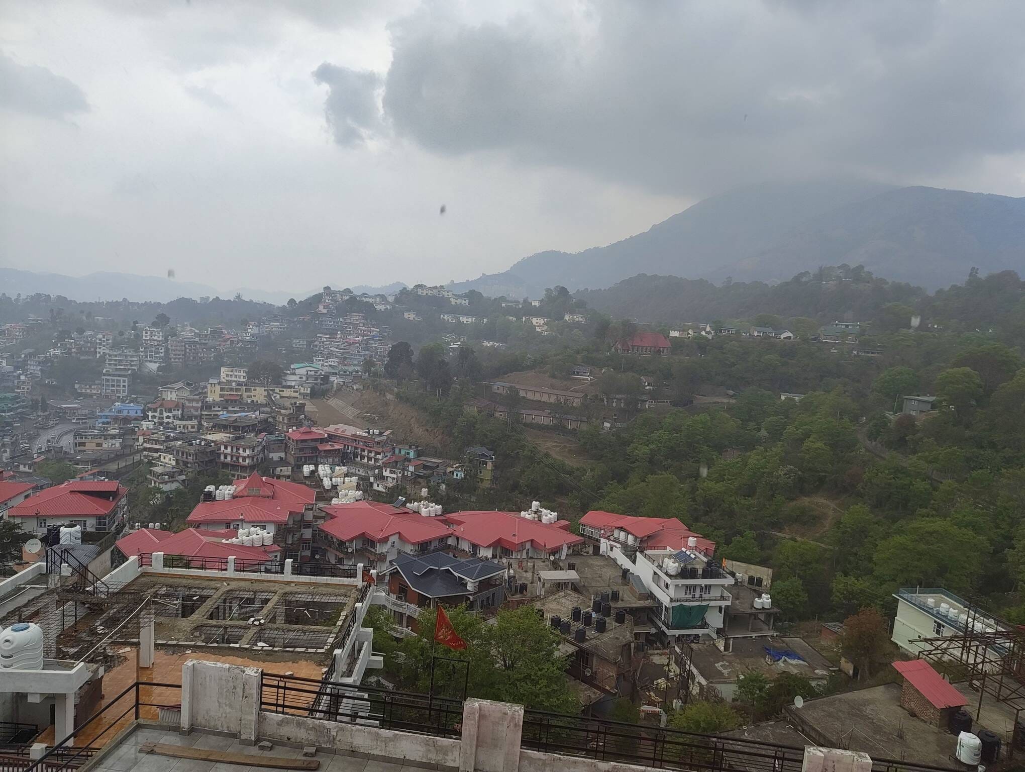 सोलन के बसाल क्षेत्र में लगी लहसून की फसल। संवाद सोलन के बसाल क्षेत्र में लगी लहसून की फसल। संवाद