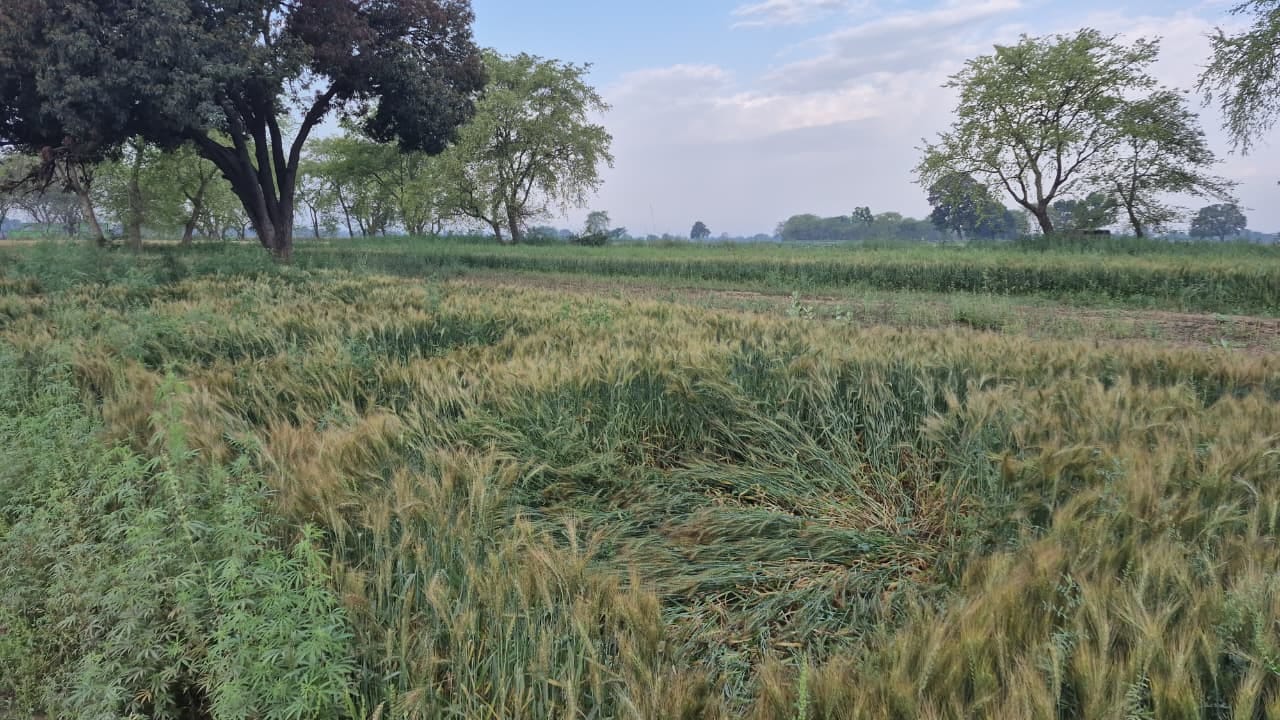 शहर के जीटी रोड पर होती बूंदाबांदी के बीच गुजरते लोग। संवाद शहर के जीटी रोड पर होती बूंदाबांदी के बीच गुजरते लोग। संवाद