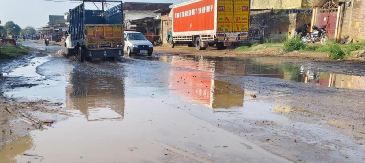 गांव कुड़ाना में बारिश और हवा के कारण गिरी गेहूं की फसल. संवाद