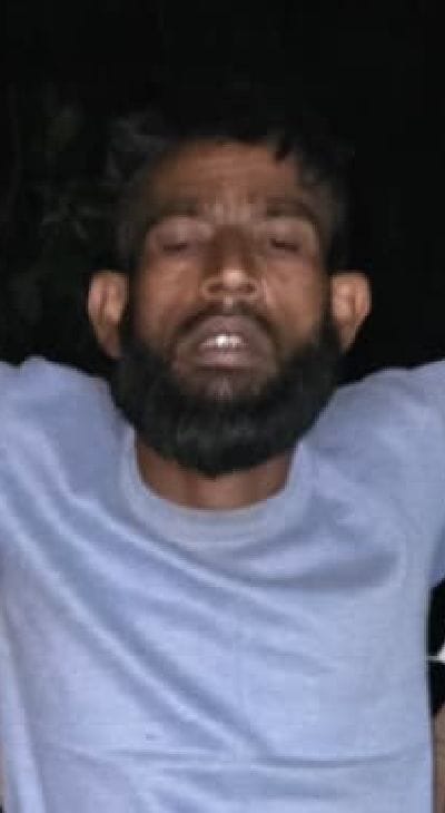 गोली लगने से घायल पशु तस्किर। स्रोत-पुलिस