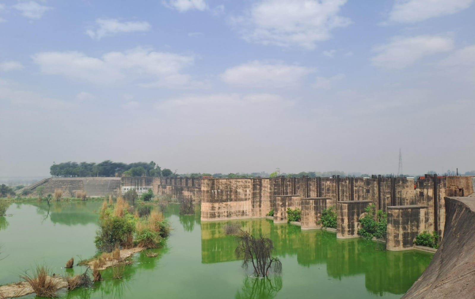 कमल सिंह यादव