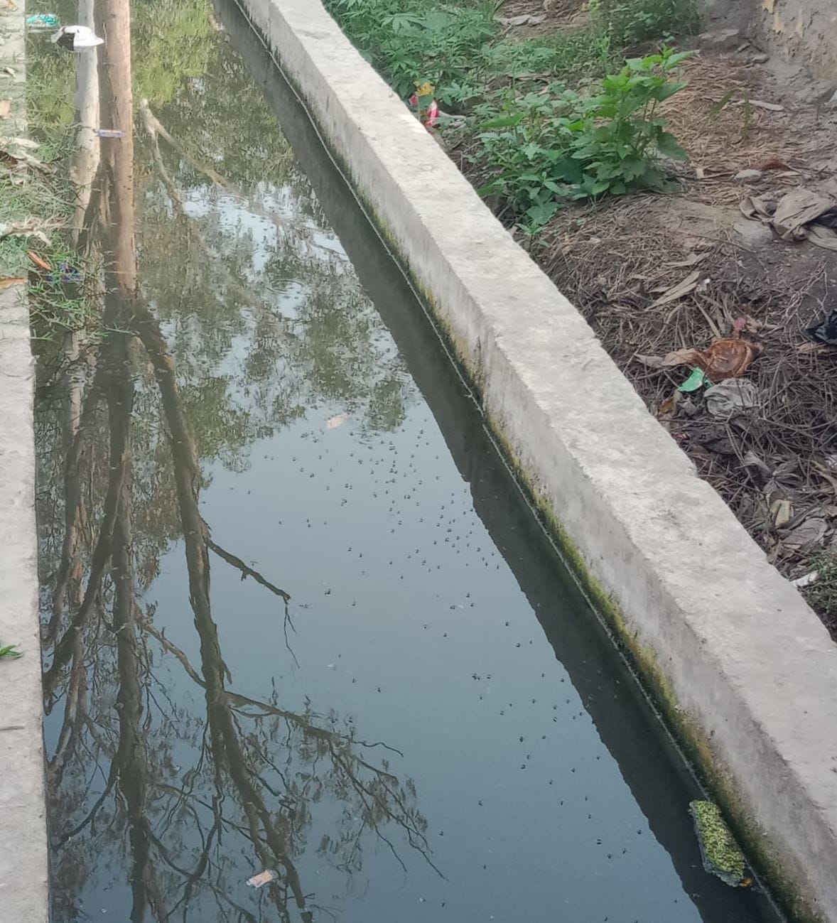 सुरजीत