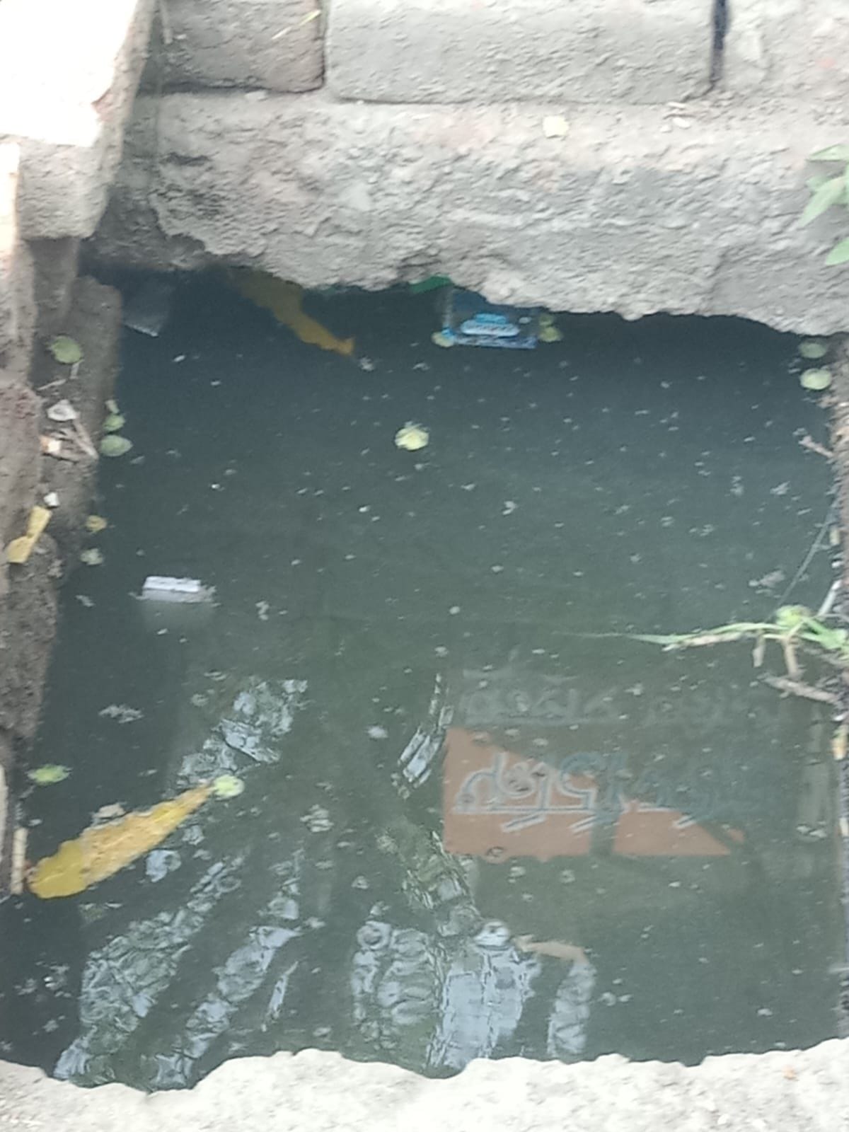 सुरजीत