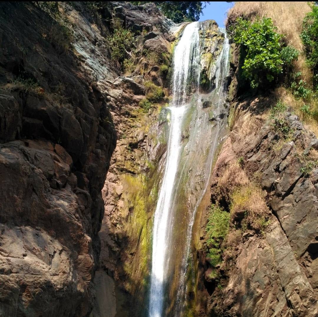 युवती की लाश मिली