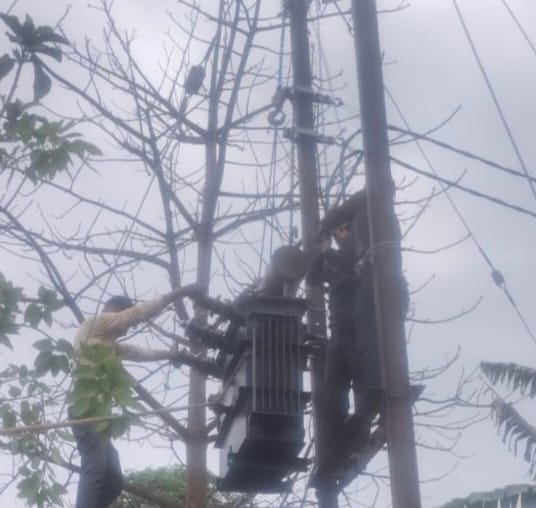 कफारा गांव में गिरी गेहूं की अधपकी फसल- संवाद