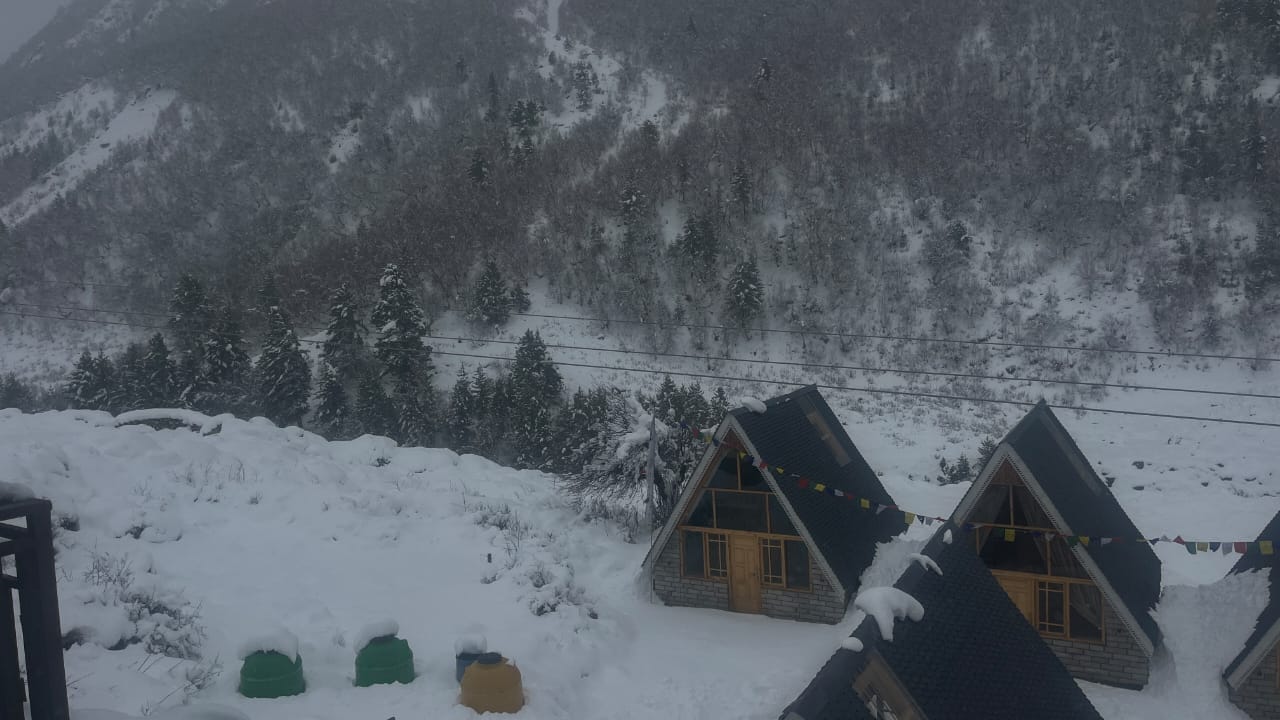 किन्नौर जिले के कल्पा में शुक्रवार को हुई ताजा बर्फबारी में गुजरते वाहन। संवाद