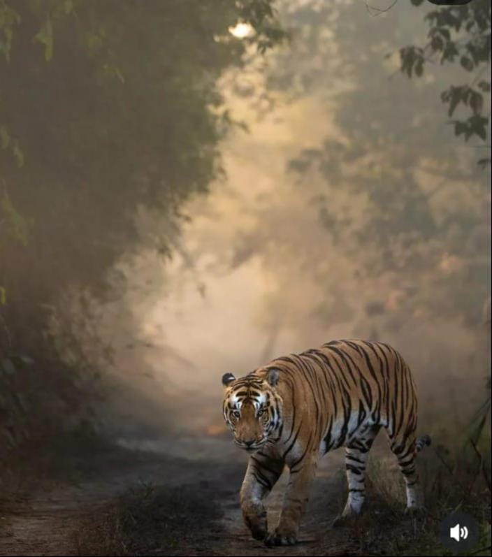 सोनू सरपंच