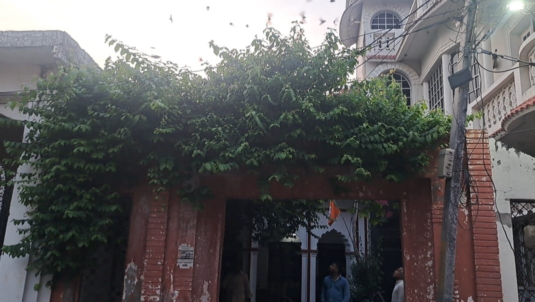 स्योहारा। गौरैया वाली हवेली में गौरैया दिवस पर केक काटते रेंजर शशांक गुप्ता व डा. मनोज वर्मा (स स्योहारा। गौरैया वाली हवेली में गौरैया दिवस पर केक काटते रेंजर शशांक गुप्ता व डा. मनोज वर्मा (स