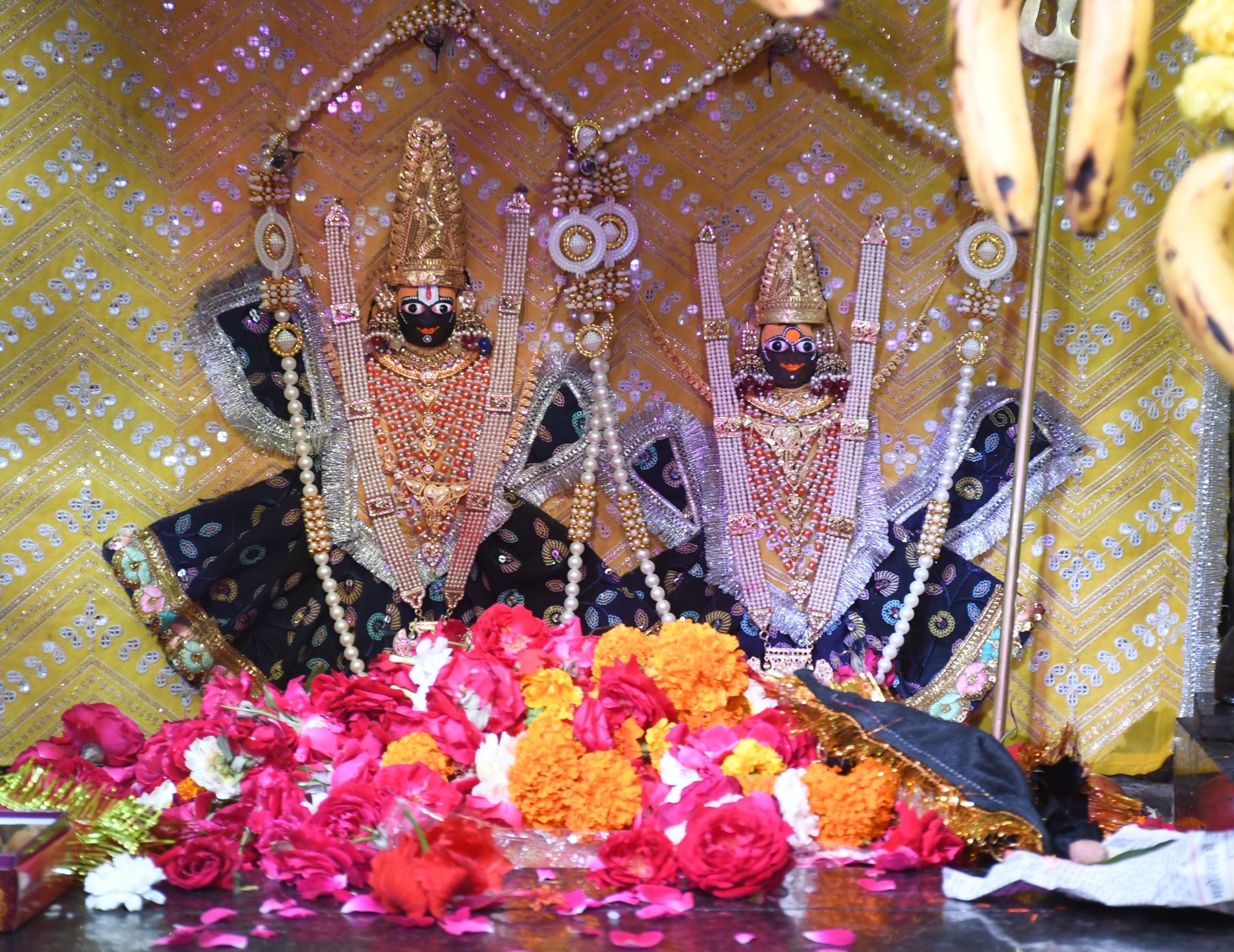 शैलपुत्री के चरणों में नतमस्तक हुई राजधानी