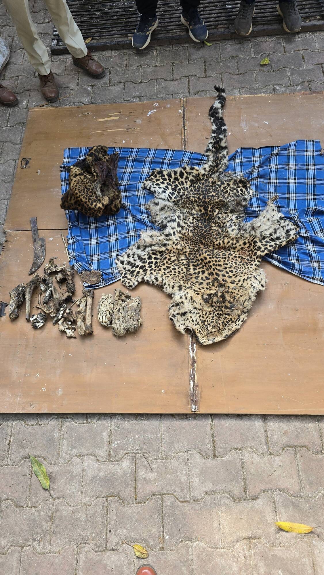 आरोपी को गिरफ्तार किया गया आरोपी को गिरफ्तार किया गया