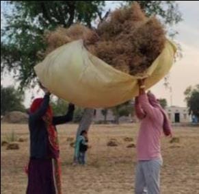 मोलनापुर गाँव में बिजली से मृत किशोर की फाईल फोटो। परिजन