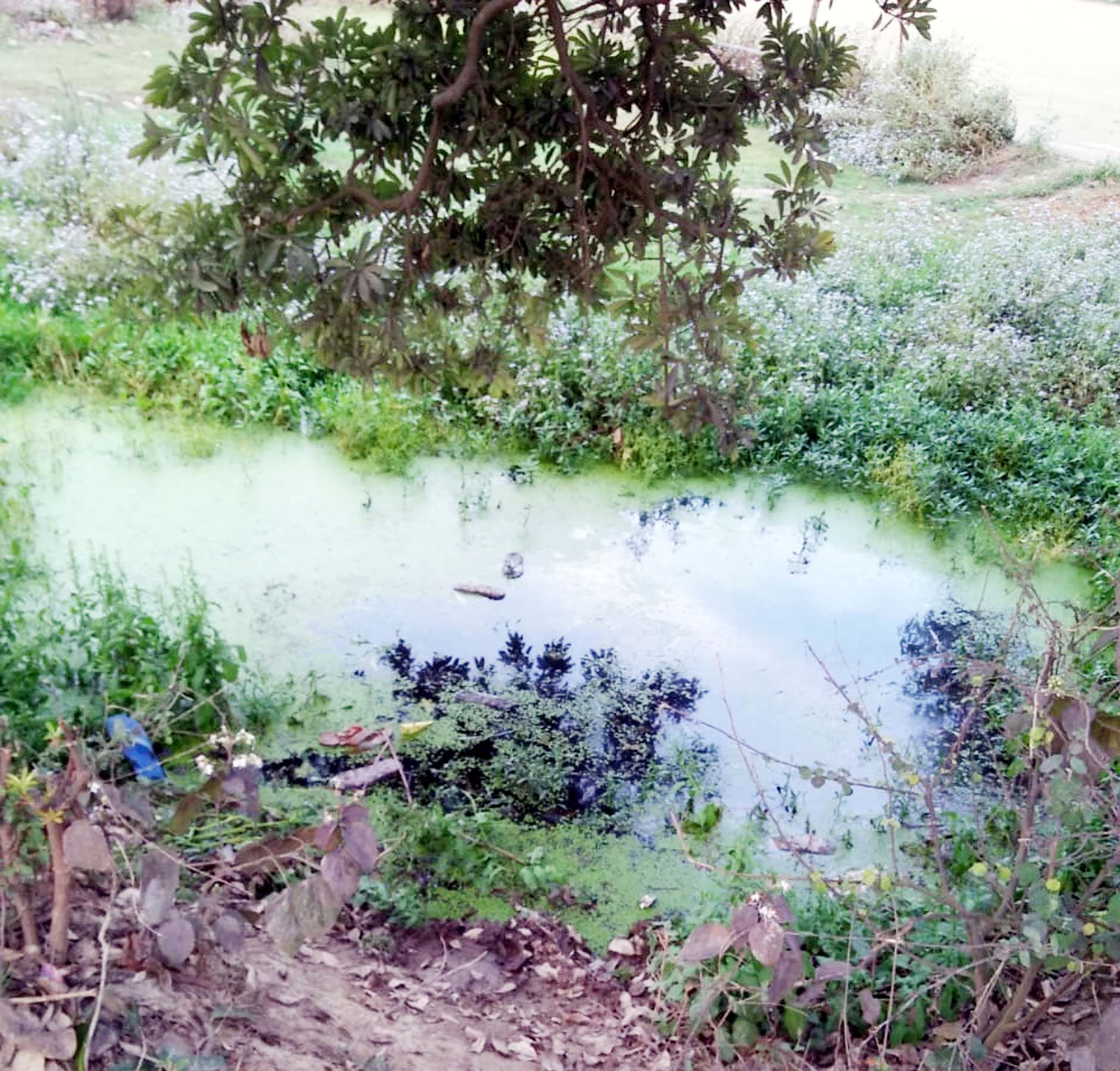 खुटार के गांव सौंफरी के अरुण वर्मा का फाइल फोटो। स्रोत : परिजन