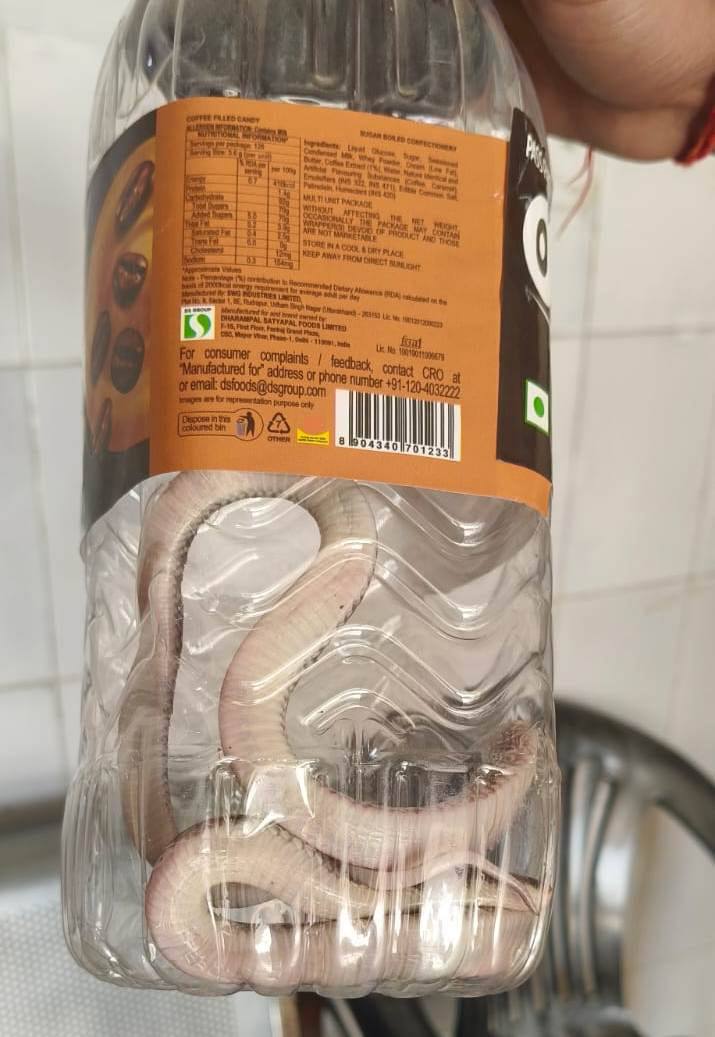 सर्प दंश का पीड़ित साजिद। संवाद