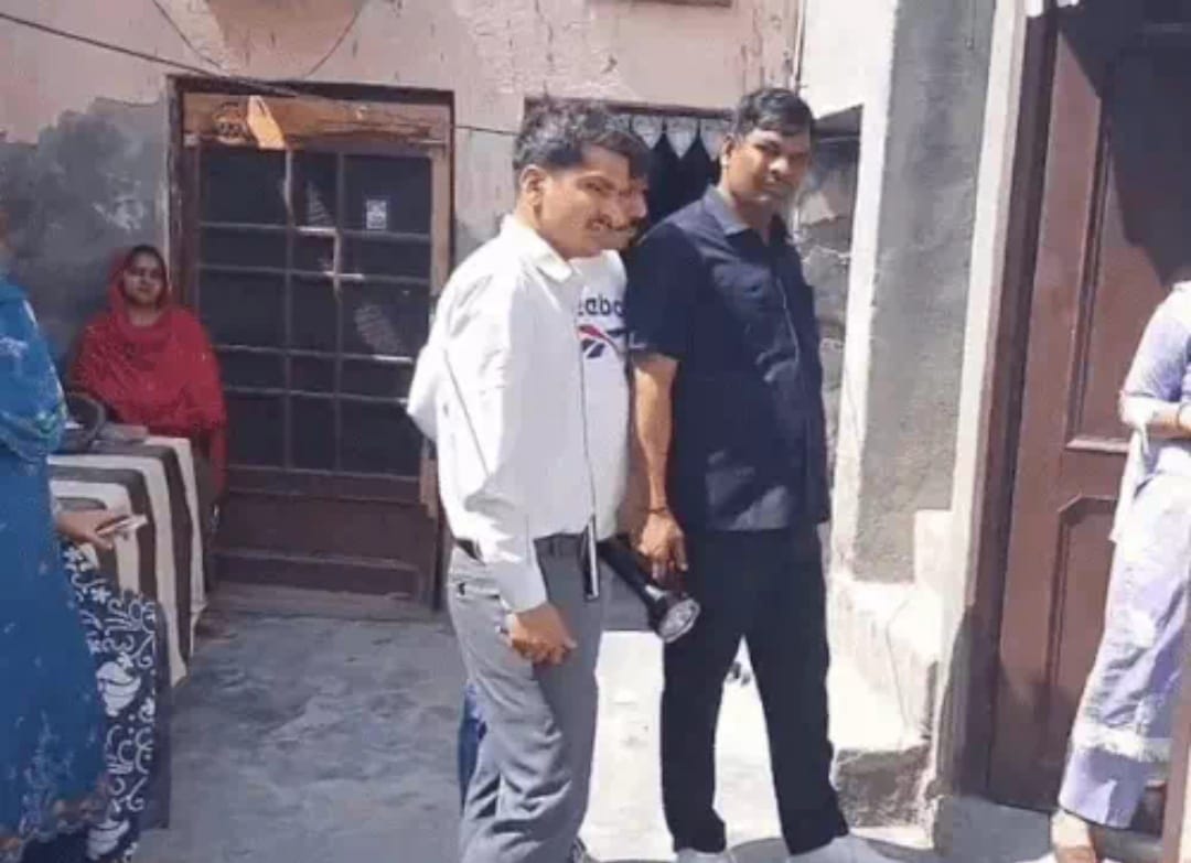 शालू। फाइल फोटो